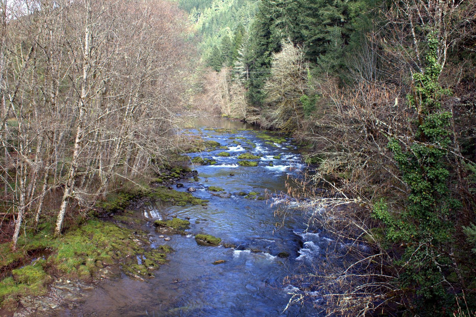 The clear waters of Blue River, Oregon