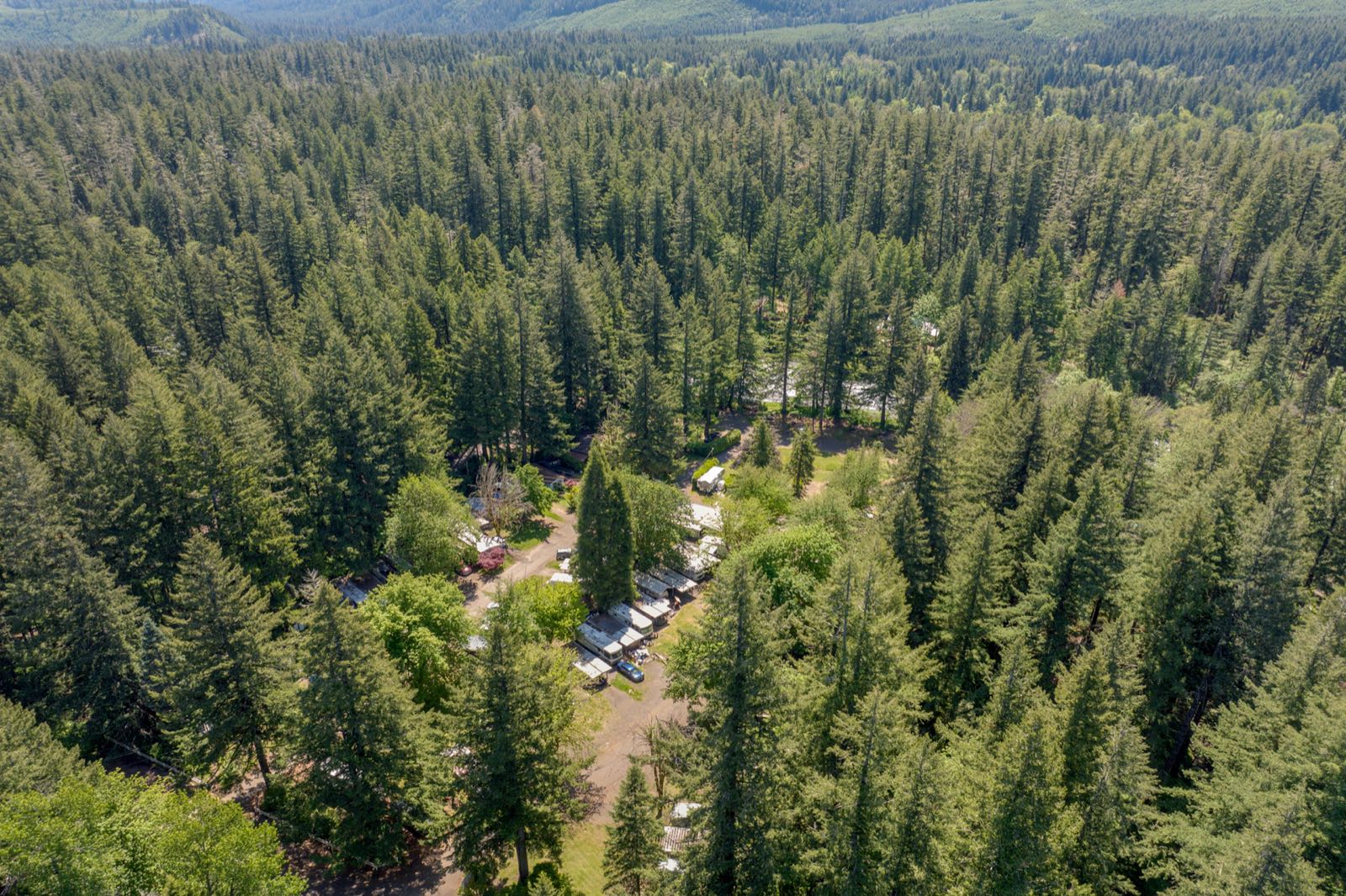 55636 McKenzie River Drive Space 9 — photo 28