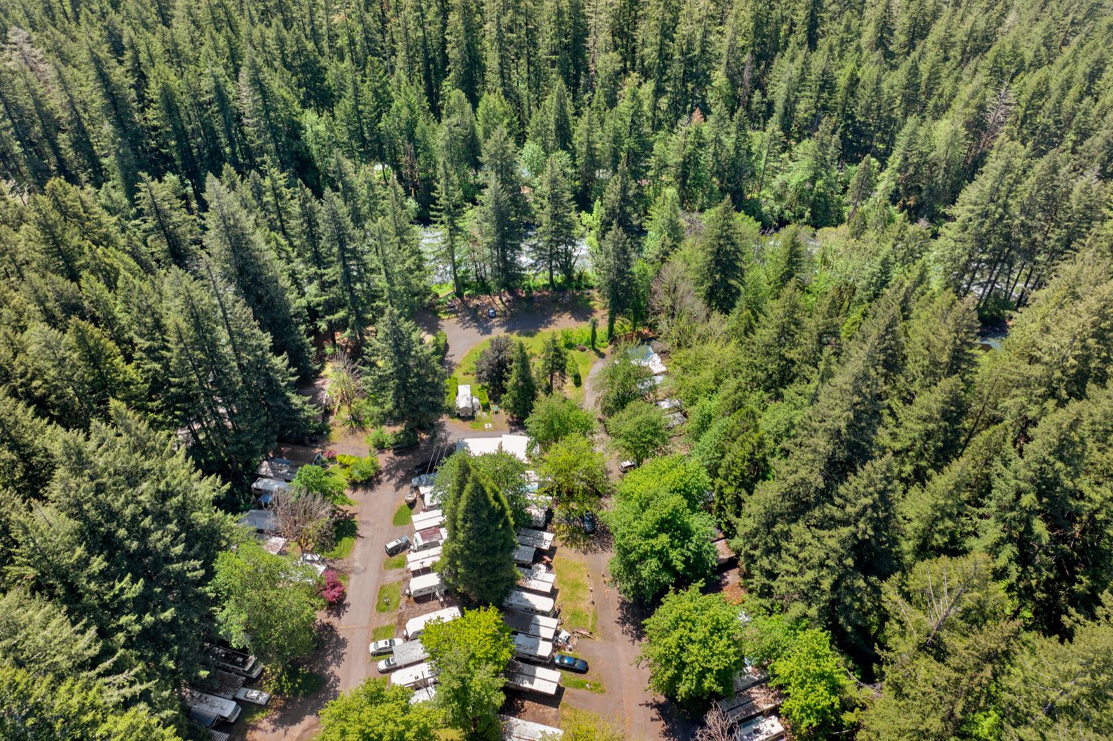 55636 McKenzie River Drive Space 9 — photo 29