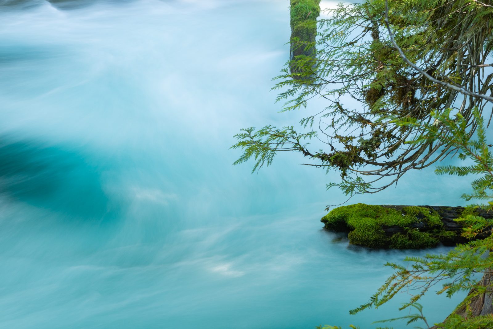 Turquoise current of the McKenzie River in mid-corridor forest
