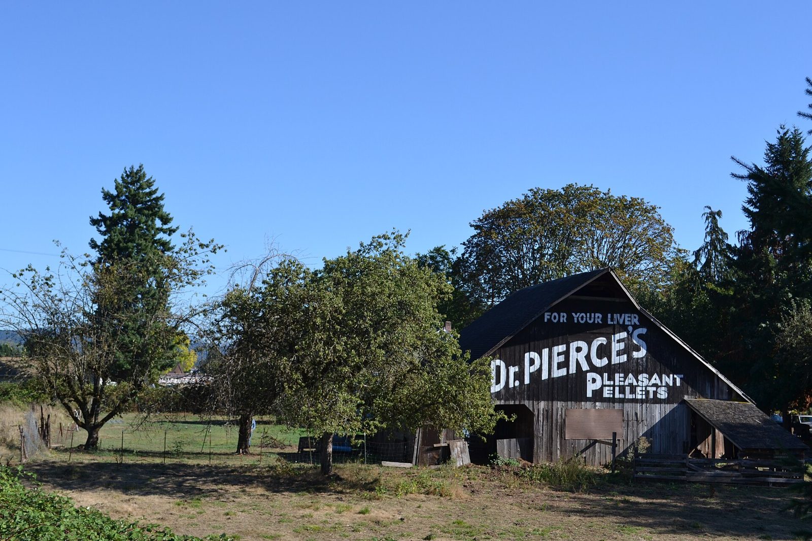 A historic barn in rural Lane County, Oregon