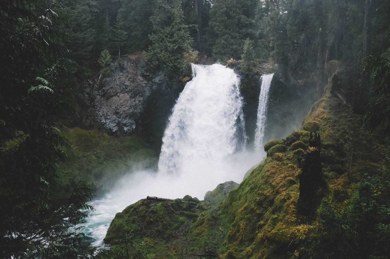 Sahalie Falls thundering through moss and old growth near McKenzie Bridge